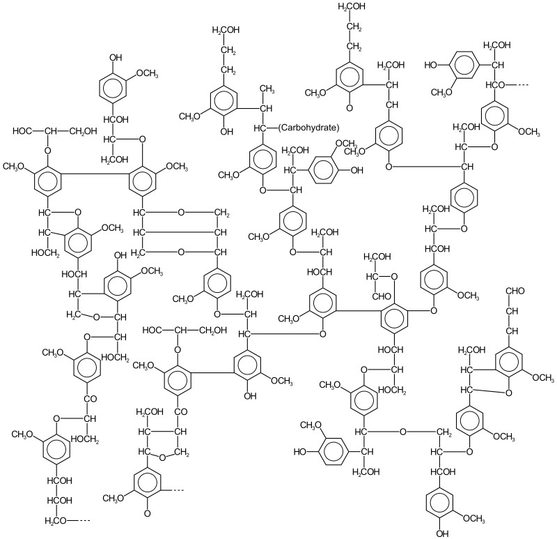 Lignin
